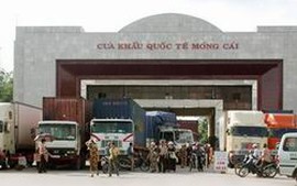Quảng Ninh tạm dừng nhập gia cầm qua các cửa khẩu 